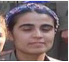 Biri gri listede aranan 5 kadın terörist etkisiz hale getirildi